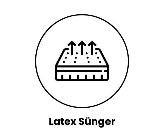 Latex Sünger