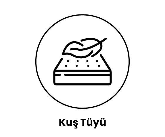 25 DNS Kuş Tüyü Sünger