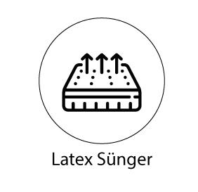 Latex Sünger