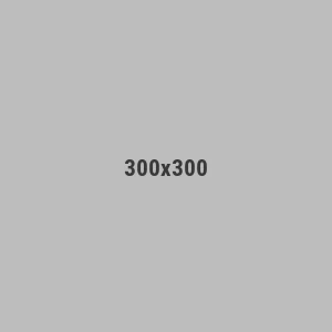 Store Set