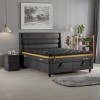 ANDORA SET