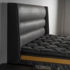 ANDORA SET