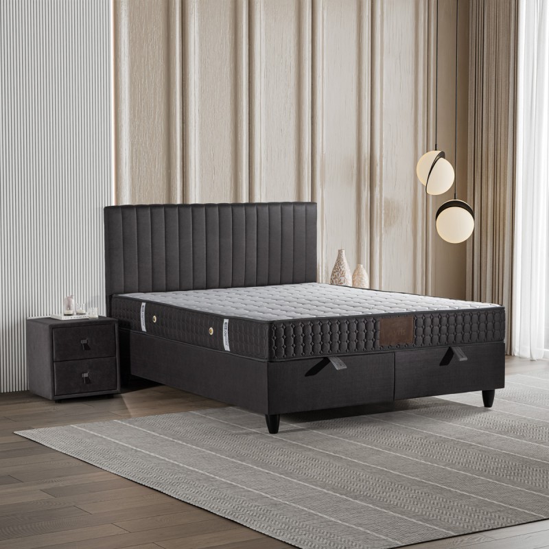 AYRIS SET