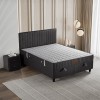 AYRIS SET
